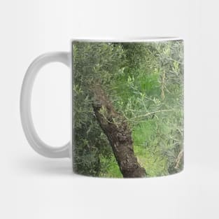 Olive tree Mediterranean Grove Mug